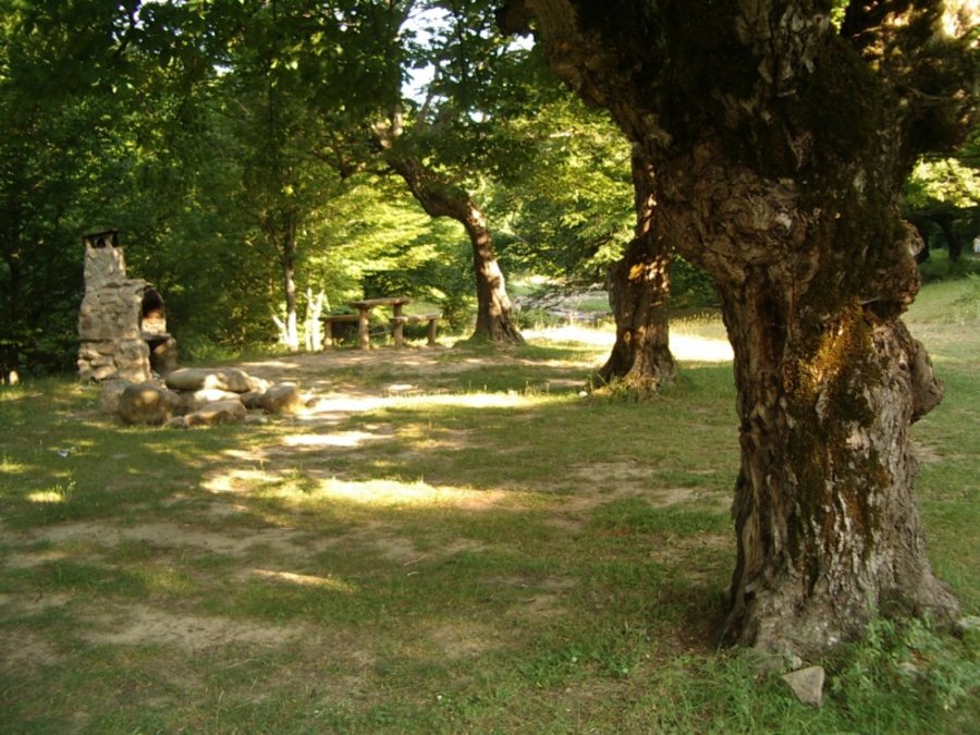 Място за отдих - Мийковци