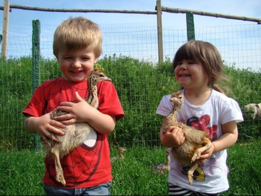 Долината на щраусите - Варна