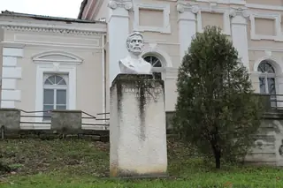 Паметник на Никола Петров - Видин