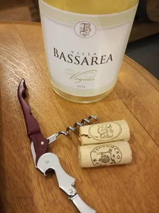 Винарска изба "Вила Басареа"