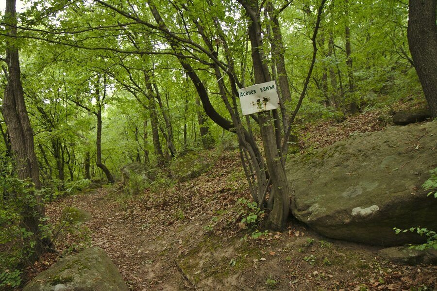 Асеновия камък и Асеновото кале – Кричим