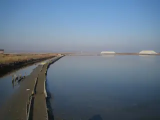 Черноморски солници