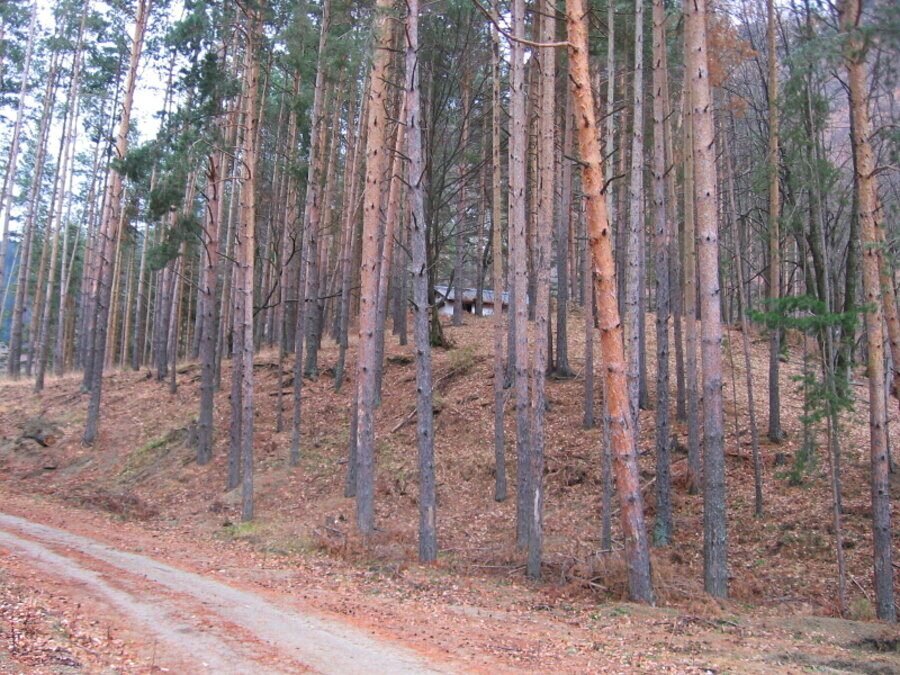 Параклис "Св. Св. Петър и Павел" - Сапарева баня