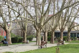 Градска градина на площад "Възраждане" - София