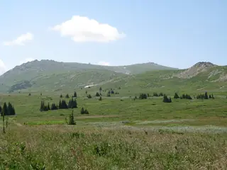 Резерват "Торфено бранище"