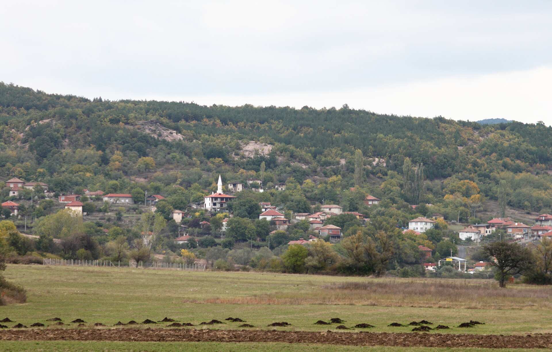 Чифлик