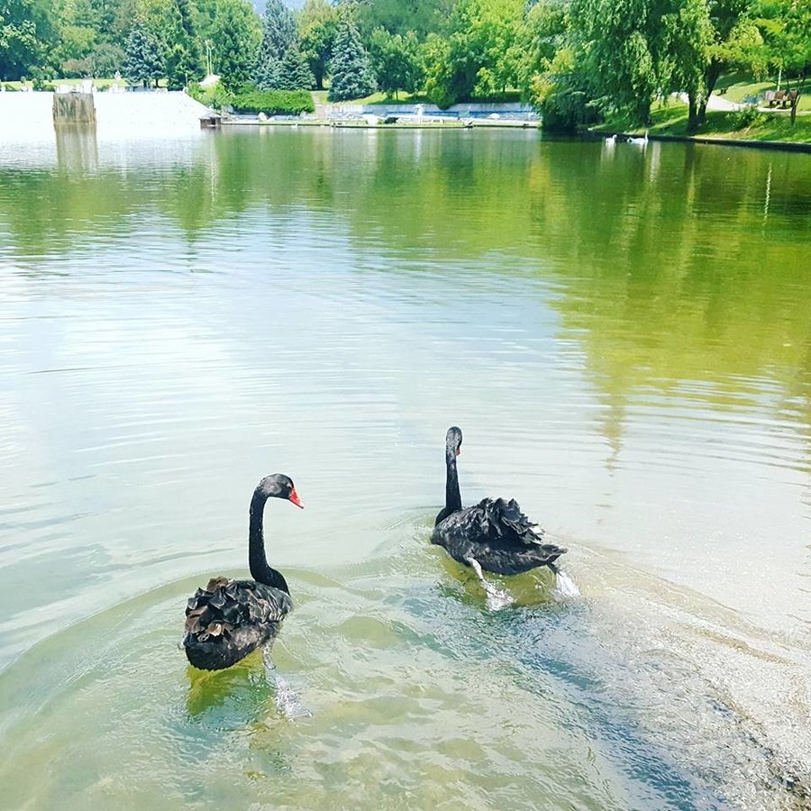 Езерото - Сaндaнски