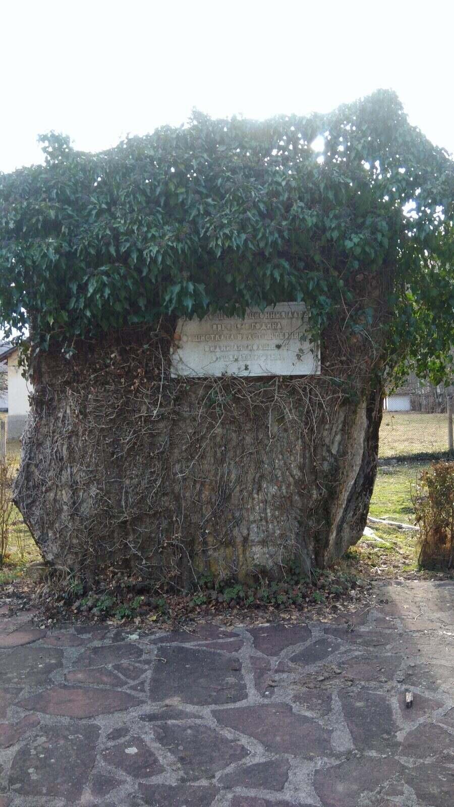 Паметник-мемориал - с.Рибарица