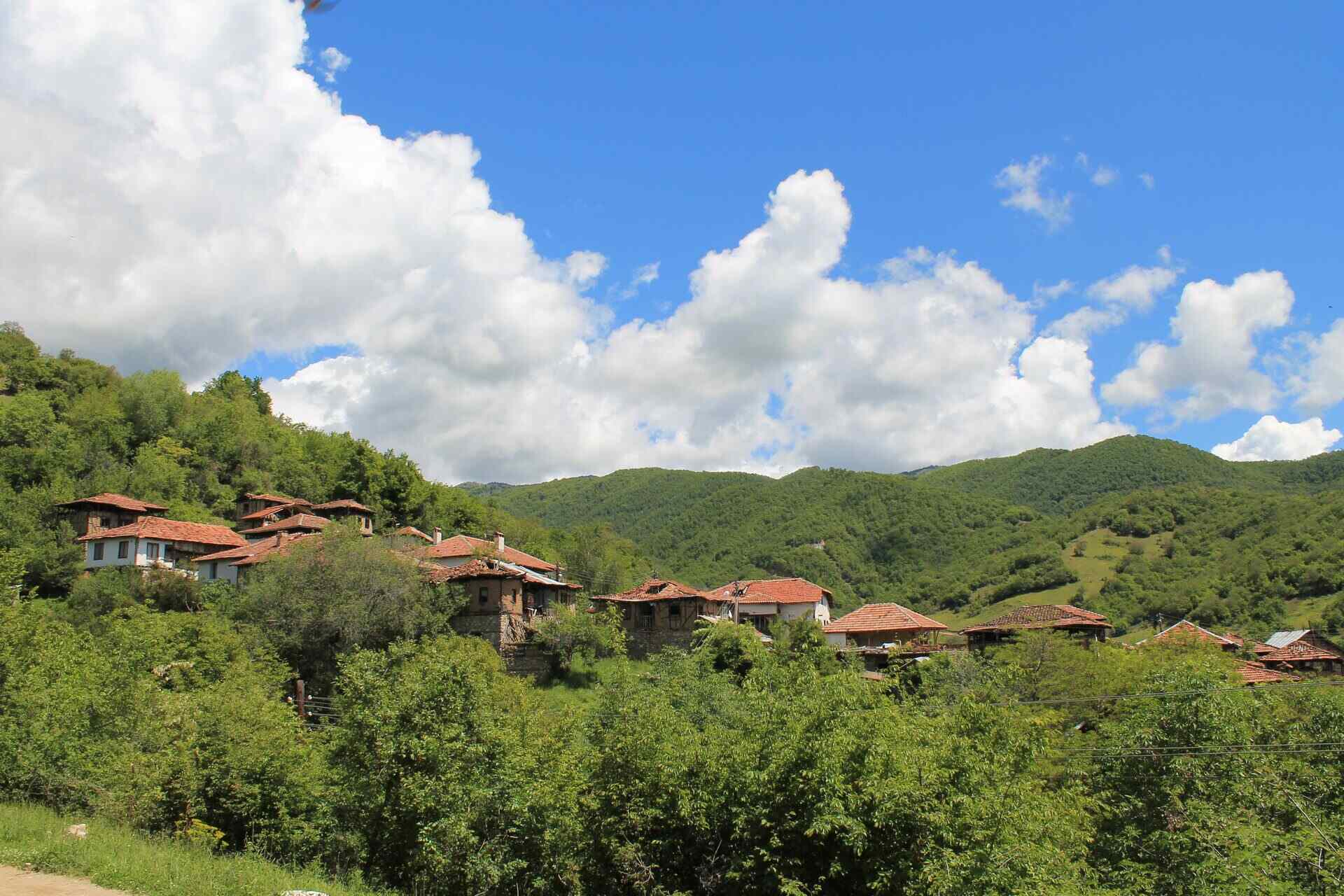 Кашина
