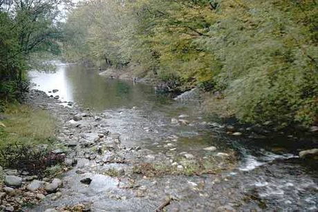 Защитена местност "Черният рът"