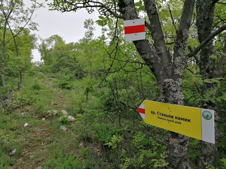 Връх Стакьов камик