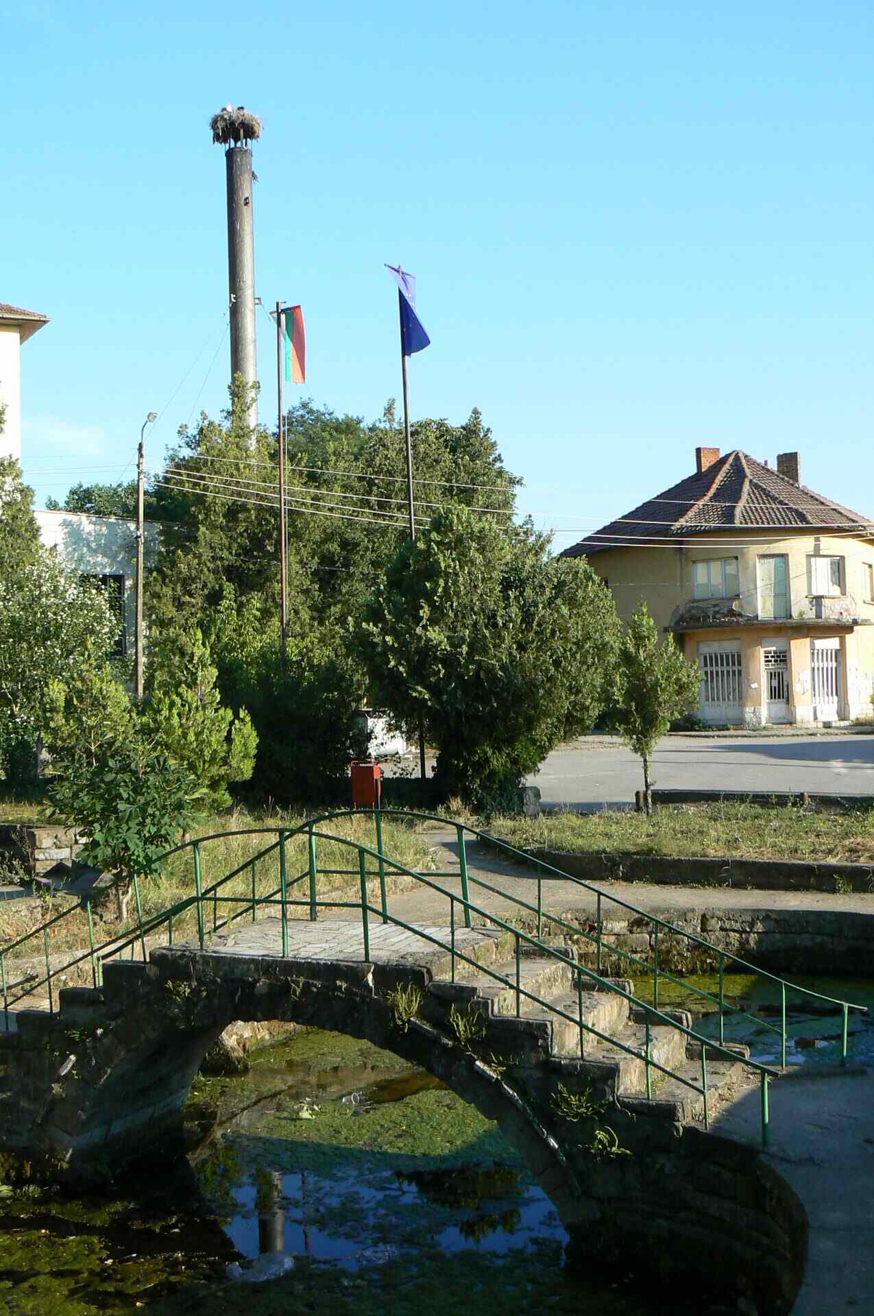 Лиляче