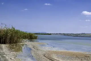 Резерват "Атанасовско езеро"