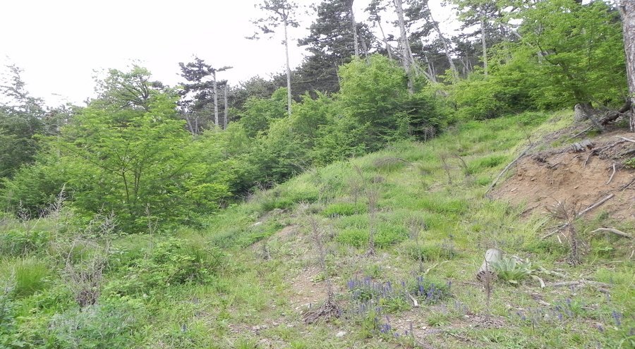 Тракийска Крепост - Шипка