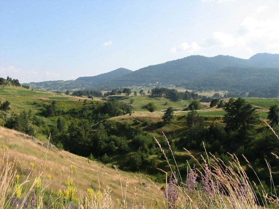 Защитена местност "Атолука"