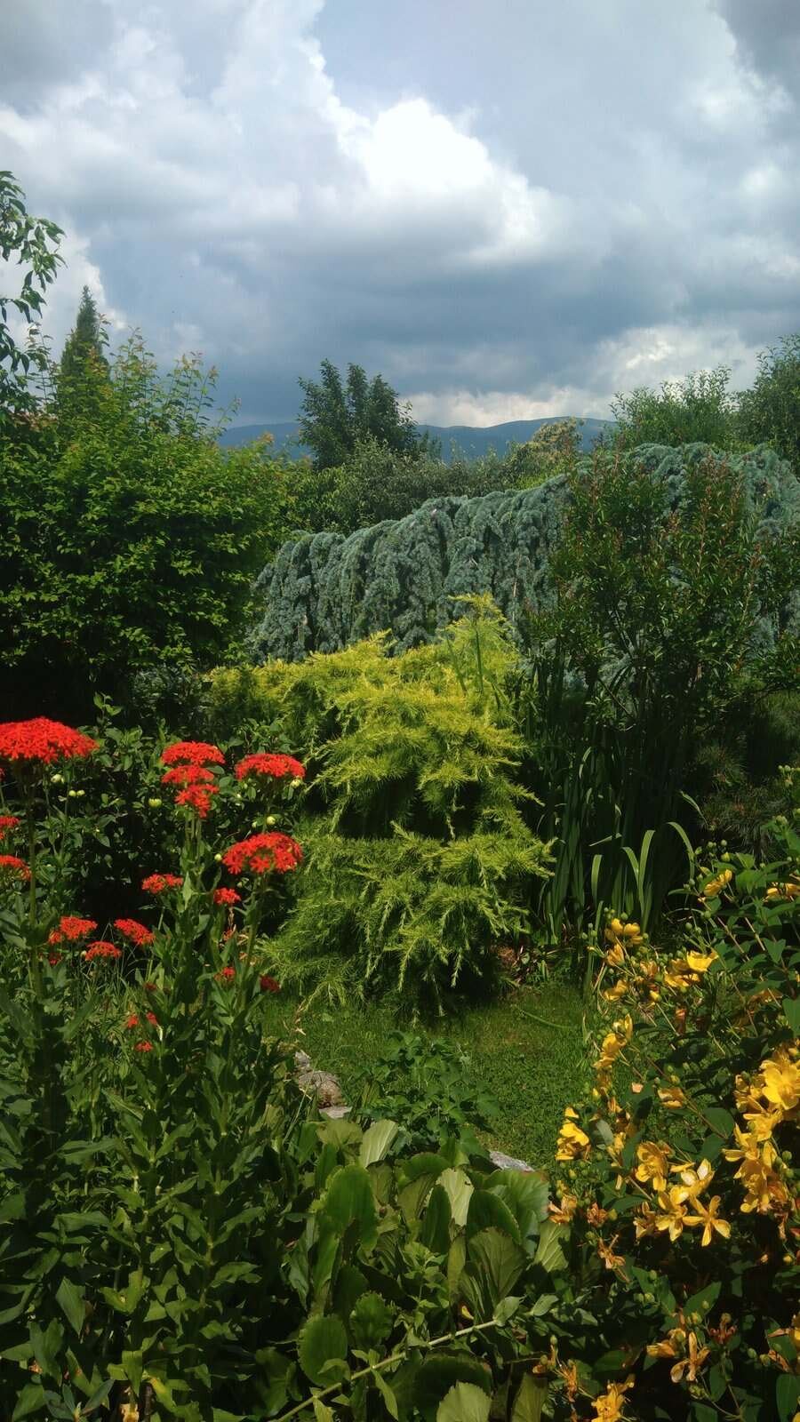 "Тайната градина на Саша" - с. Тъжа