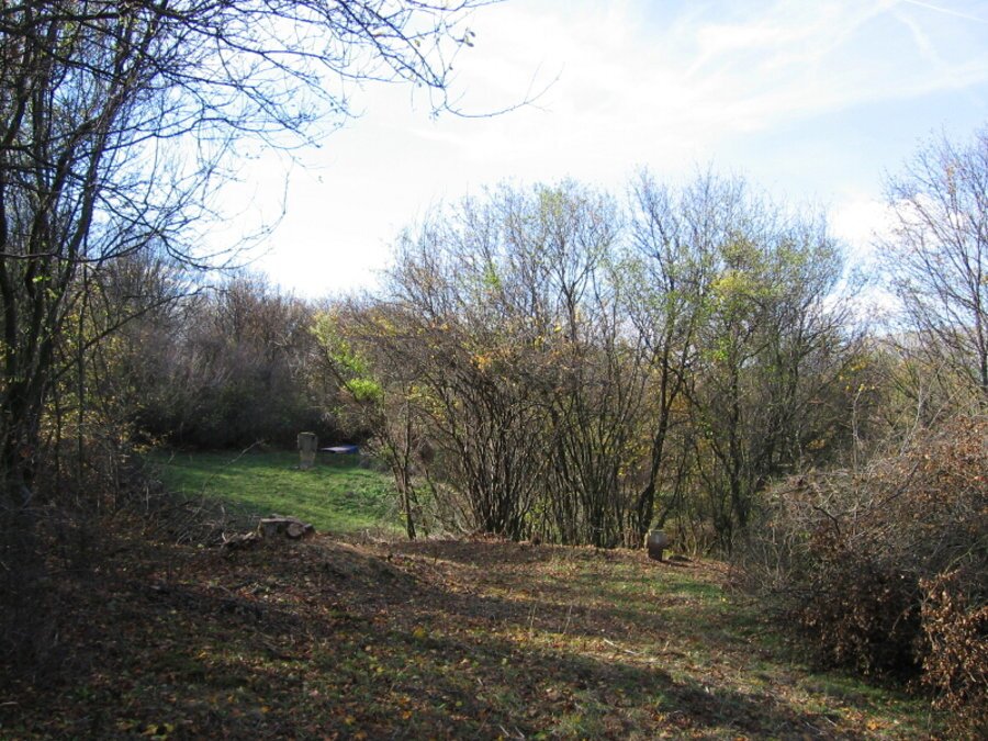 Оброк "Св. Спас" - Василовци