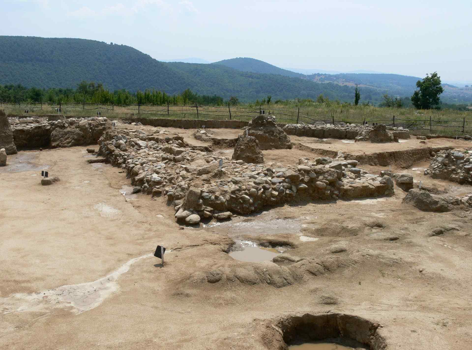 Васил Левски