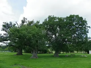 Природен парк "Кедикчал" - Равен