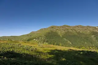 Връх Копрен