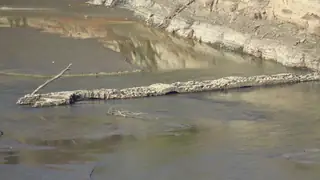 Останки от стар мост - р.Арда