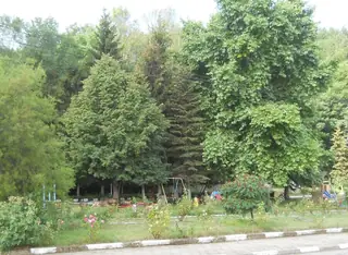 Парк - с.Извор