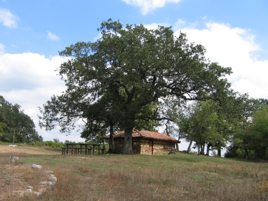 Параклис "Свети Илия" - с.Визица