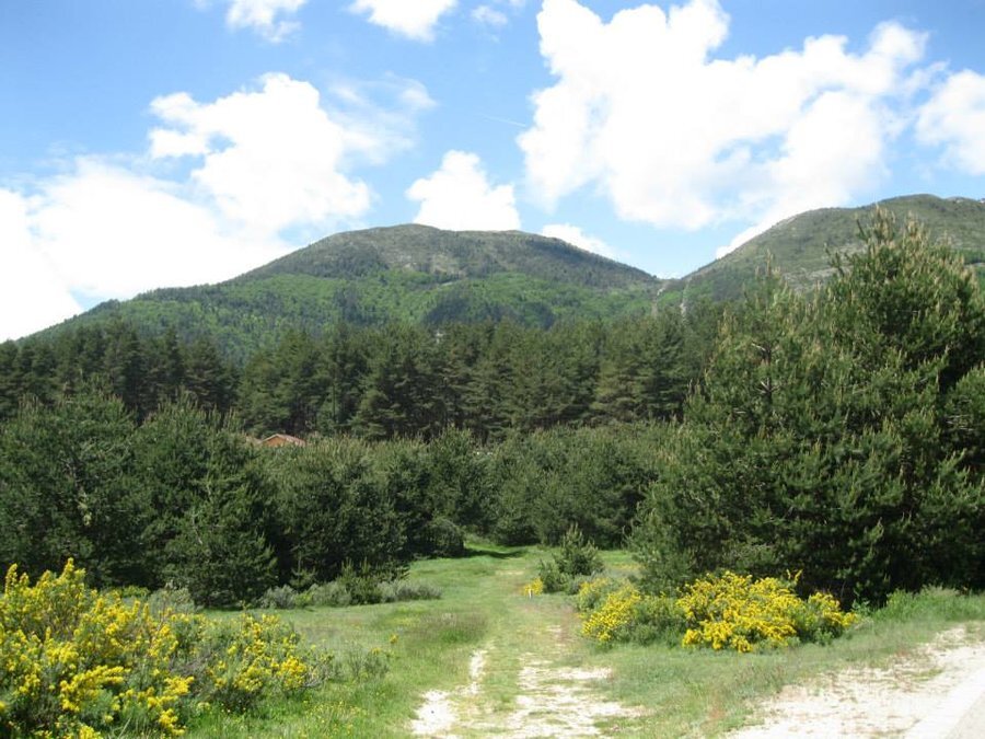 Велопътека "Млаки"