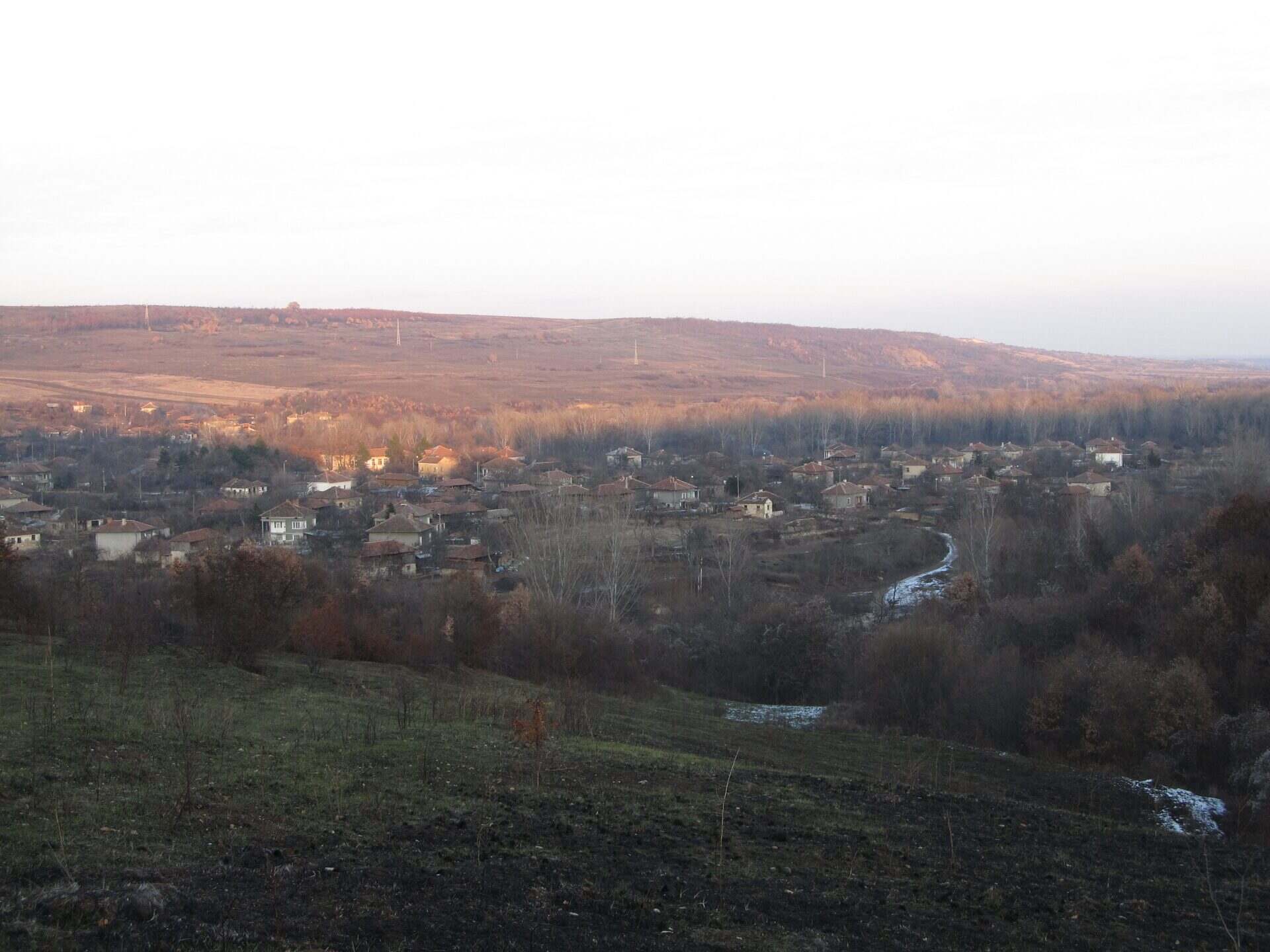 Държаница