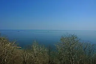 Местност "Ракитника"