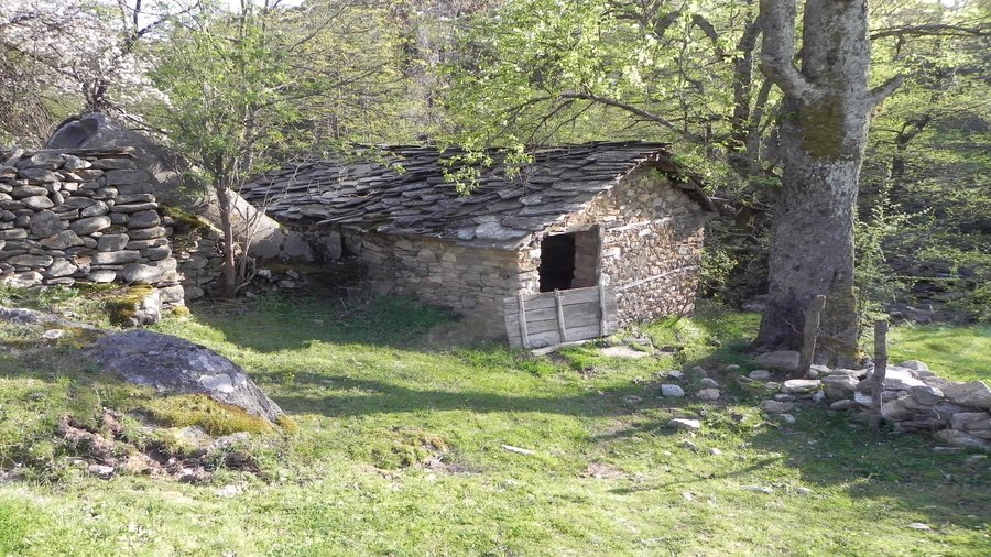 Водениците - Шумнатица