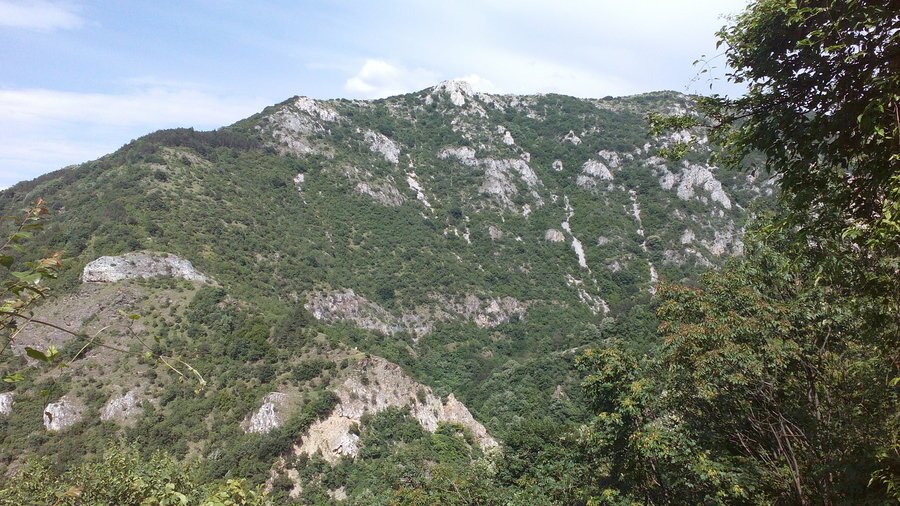 Защитена местност "Анатема"