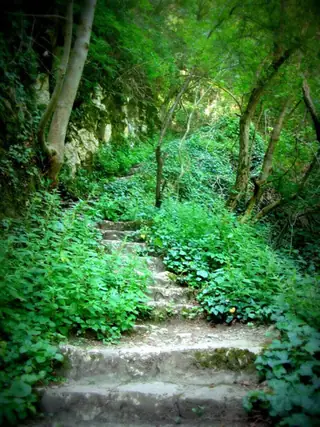 Екопътека Via Ferrata край Дряновският манастир