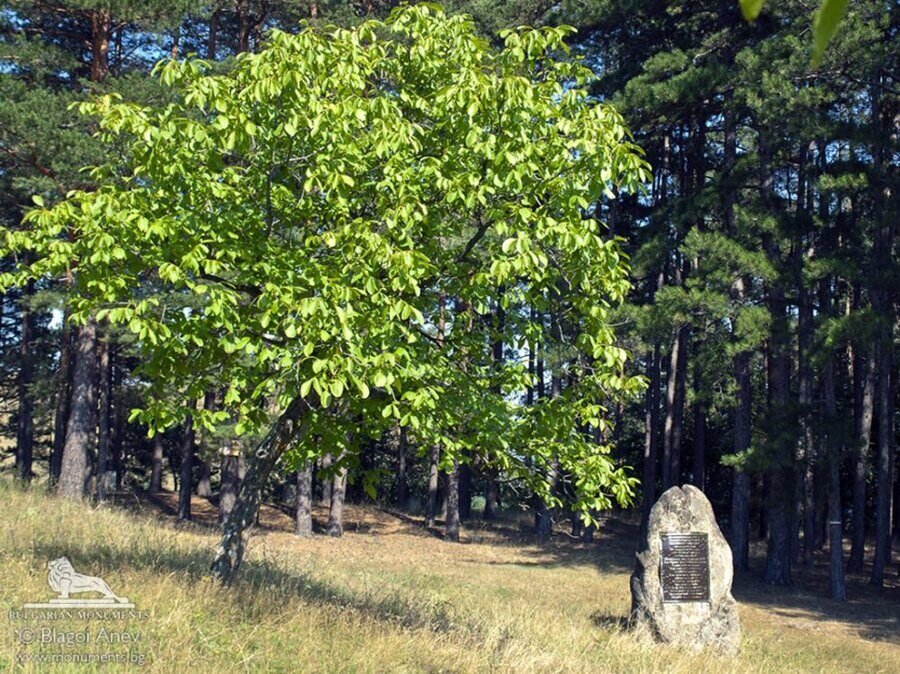 Паметник в местността Зли дол - Клисура