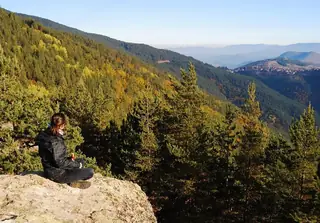 Пашови скали