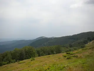 Тракийско светилище на връх "Чучул"