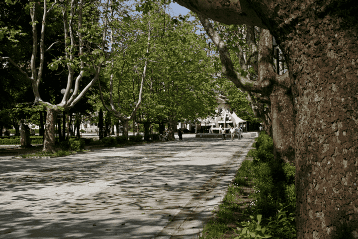 Булевардът с чинарите - Вършец