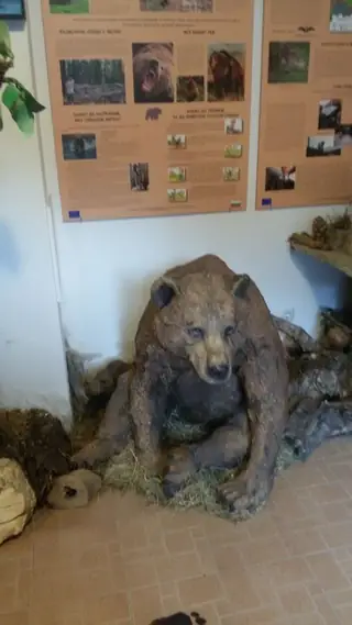 Музей на мечката - Триград