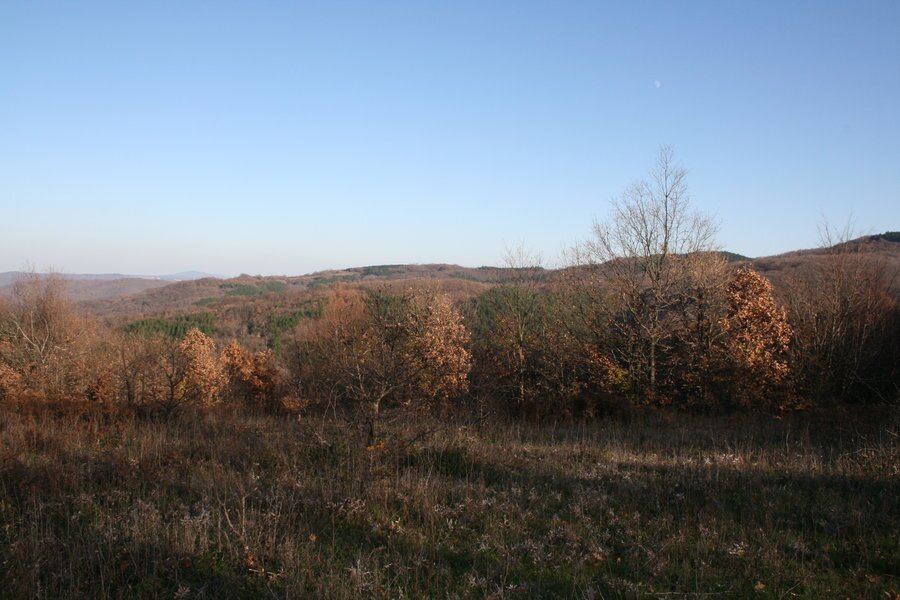 Резерват "Средока"