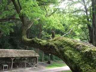 Екопътека Голямата река