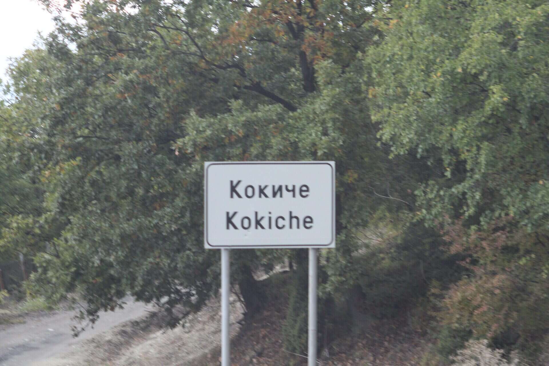 Кокиче