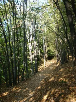 Екопътека "Градище–пазителката на прохода"