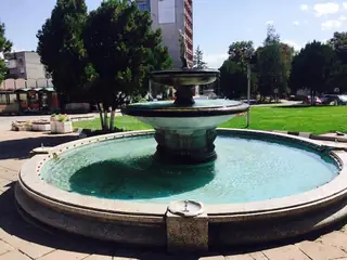 Фонтанът с чешмичките - Радомир