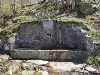 Каменната чешма - с. Угорелец