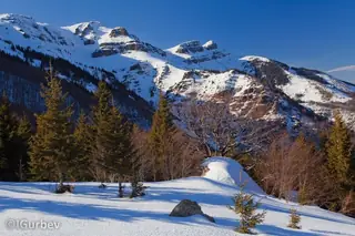 Връх Трите Чуки