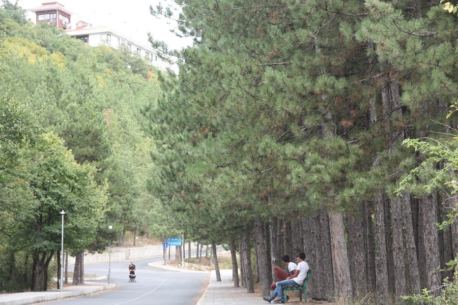 Лесопарк "Момчил юнак"