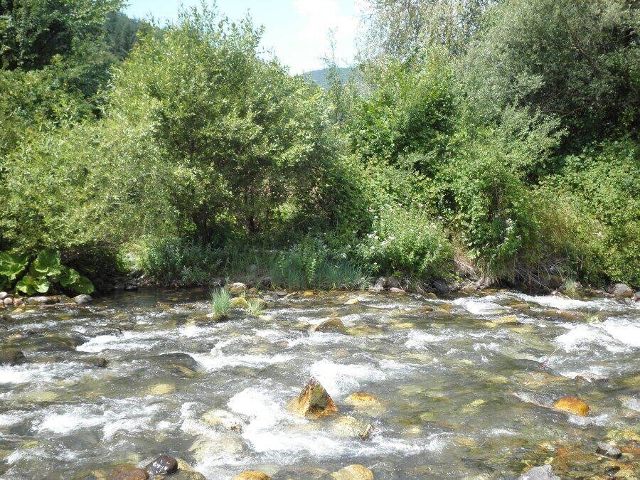 Рилска река