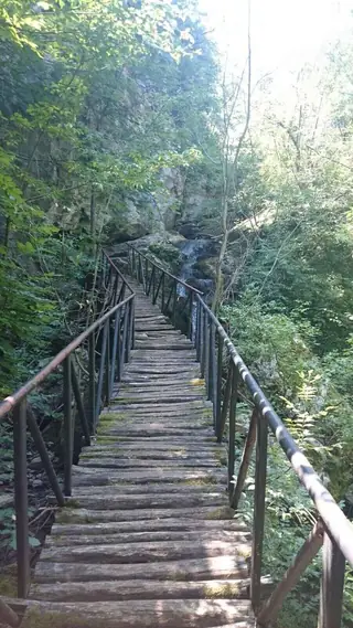 Лековно кладенче - Балювица