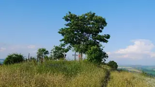 Останки от крепост "Кулата" - с.Вишовград