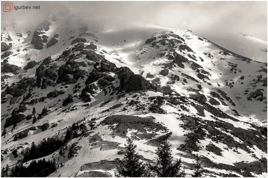 Връх Жълтец